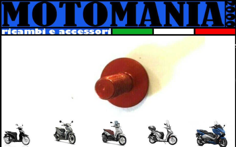 VITE TESTA BOMBATA 5X15 PER CARENE ROSSO IN ERGAL *