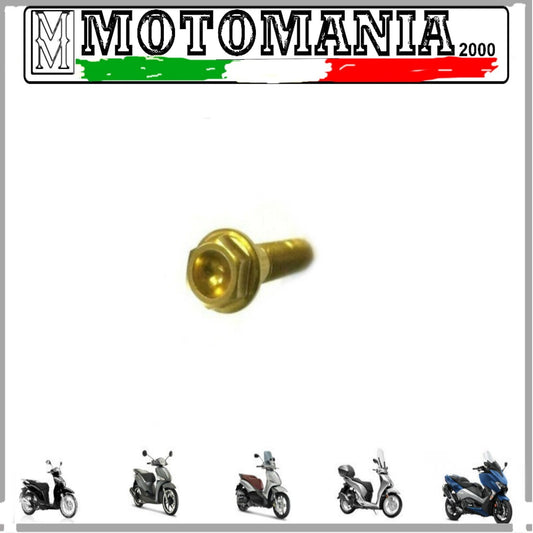 BULLONE 6X35  IN ERGAL ORO TESTA ESAGONALE mm. 8 *