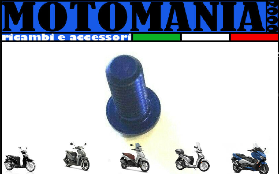 VITE TESTA BOMBATA CAVA ESAGONALE PER MOTO ERGAL BLU *