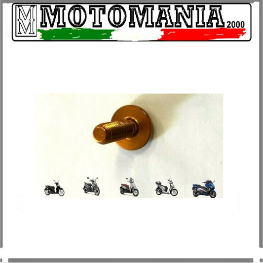 VITE IN ERGAL 5 X 15 TESTA BOMBATA COLORE ORO PER CARENE E VARIE APPLICAZIONI *