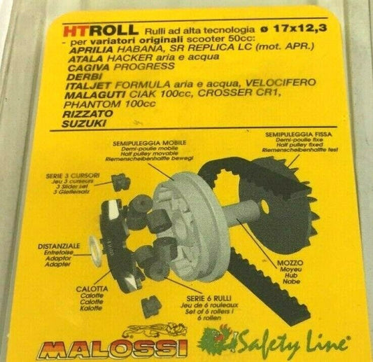 669999G0 KIT 6 ROLLERS VARIATOR 17X12.3 GR.07 MALOSSI