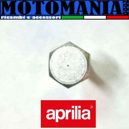 AP8121932 ORIGINAL APRILIA FIXED SCREW STAND, ABS CONTROL UNIT HOLDER *
