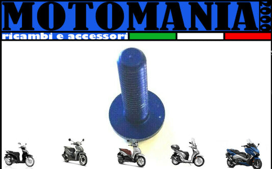 VITE TESTA BOMBATA CAVA ESAGONALE PER MOTO BLU ERGAL *
