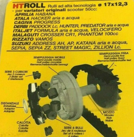 669999F0 KIT 6 ROLL VARIATOR 17X12.3 GR,6.5 MALOSSI