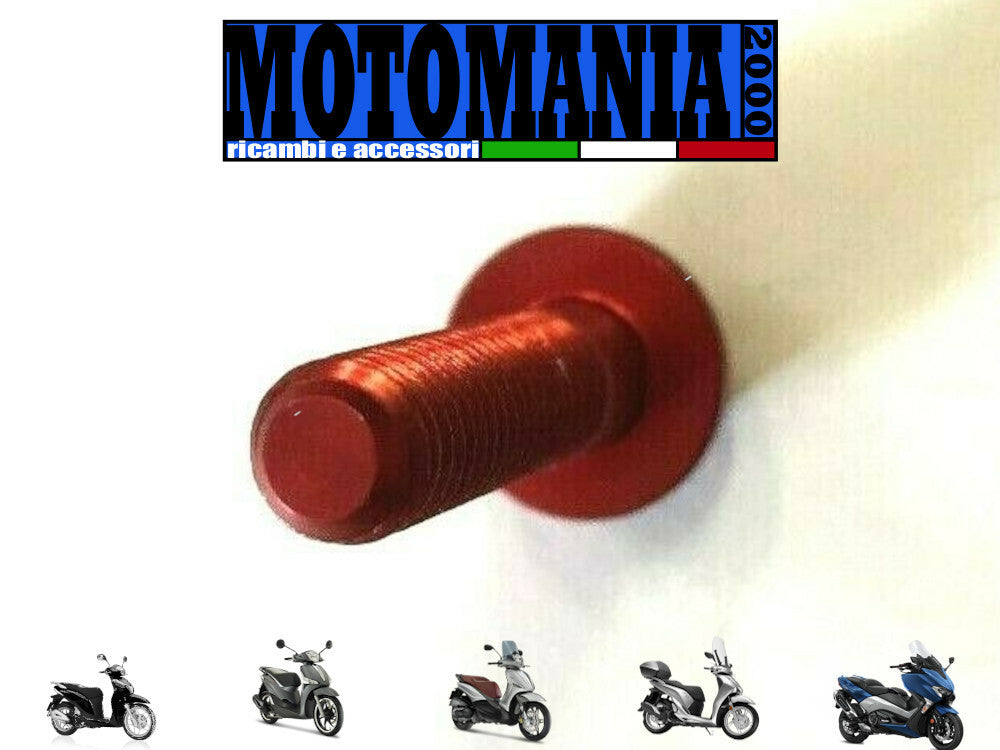 VITE TESTA BOMBATA 5X15 ROSSO PER CARENE IN ERGAL *
