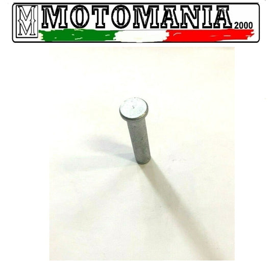 AP8134829 PASSENGER PLATFORM PIN DX-SX ORIGINAL APRILIA PEGASO 650 ROAD 05/07 *