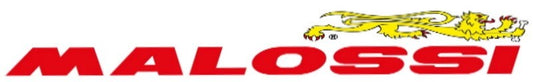 Molla di Contrasto per Variatore Paggio  Zip 50 e sfera 50 2T Malossi Azzurra