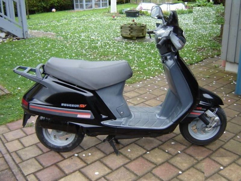 11894 - Ariete Serie Paraoli Motore PEUGEOT  SV - GEO - 50