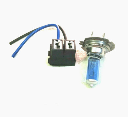 PORTA LAMPADA H7 12 V -24 V COMPLETO DI LAMPADA H7 LUCE BIANCA 12V60/55 X MOTO