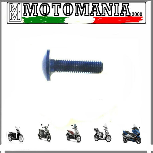 VITE TESTA BOMBATA CAVA ESAGONALE PER MOTO BLU ERGAL *