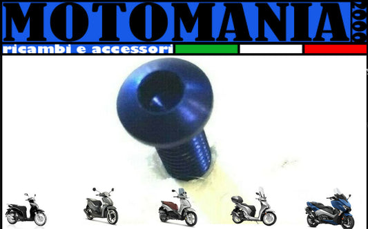 VITE TESTA BOMBATA CAVA ESAGONALE PER MOTO ERGAL BLU  *