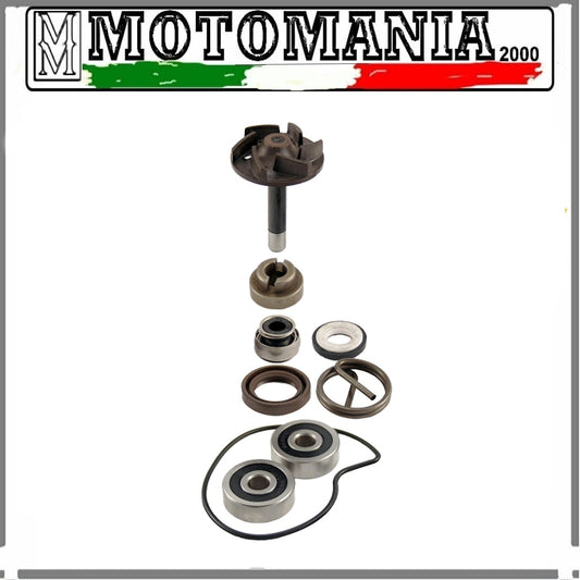 KIT REVISIONE POMPA ACQUA PIAGGIO BEVERLY 250 2004/2005 E APRILIA SCARABEO 250