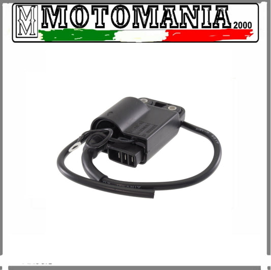 CENTRALINA PER PIAGGIO ZIP/SFERA/VESPA ET2/GILERA STALKER 50CC (VEDI DESCR.)  *