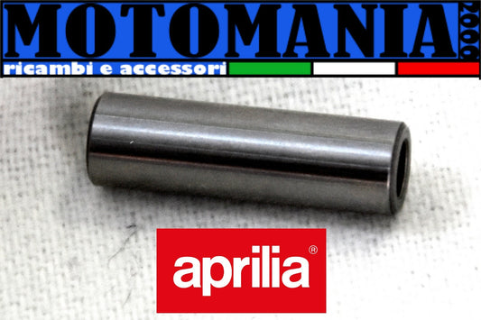 AP8206174 PLUG D.10X33 HEAD. GULLIVER, RALLY