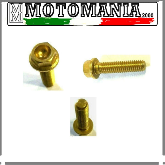 VITE IN ERGAL  ORO 6X25 TESTA ESAGONALE DM. 8 APPLIC. VARIE*