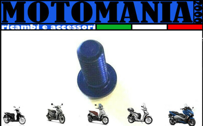 VITE TESTA BOMBATA CAVA ESAGONALE PER MOTO ERGAL BLU  *