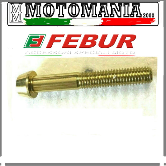VITE TESTA SVASATA PER CARENE  6X45 IN ERGAL COLORE ORO *