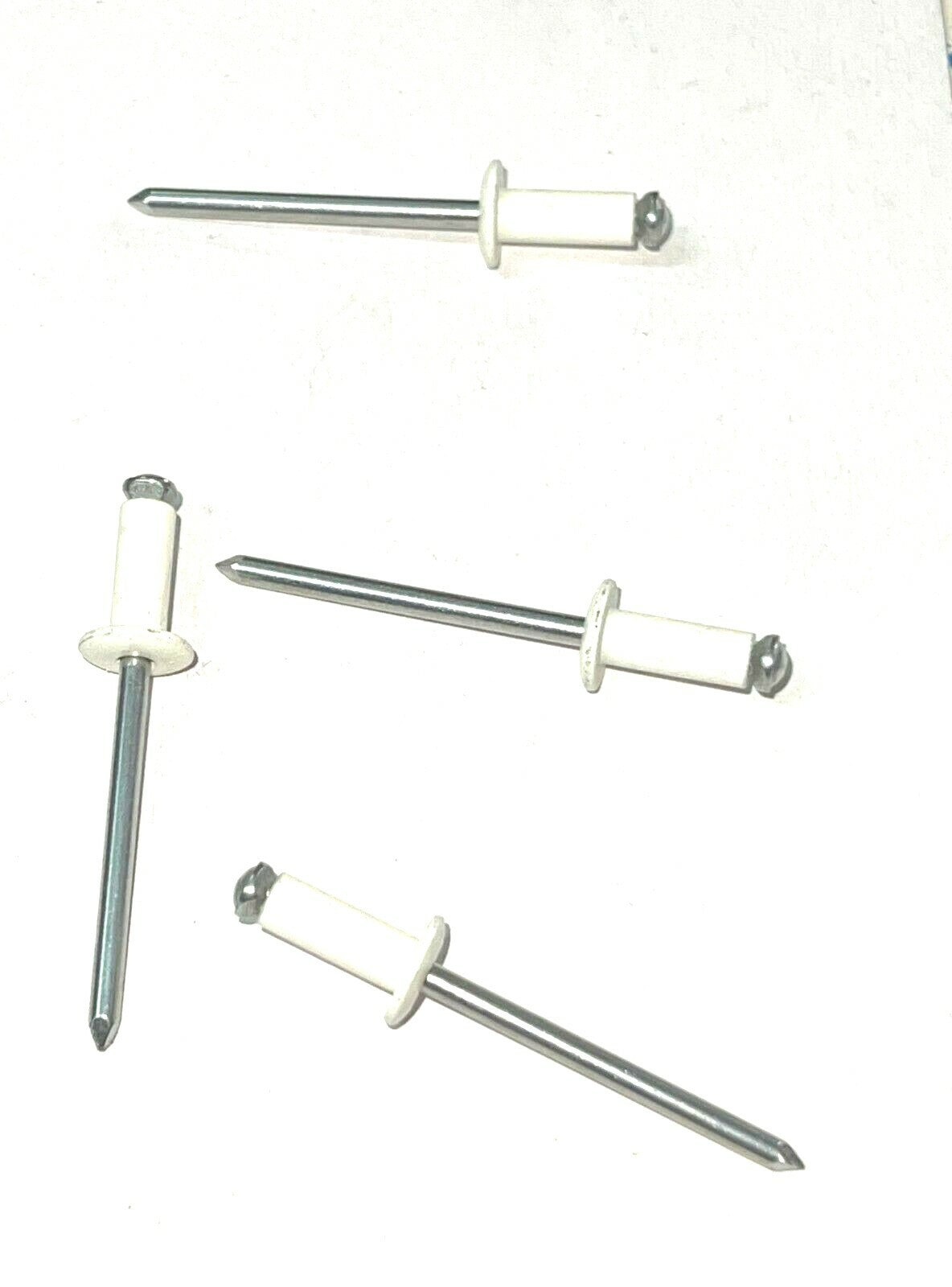 PORTATARGA IN PLASTICA COMPLETO DI RIVETTI PER CICLOMOTORE E SCOOTER 50