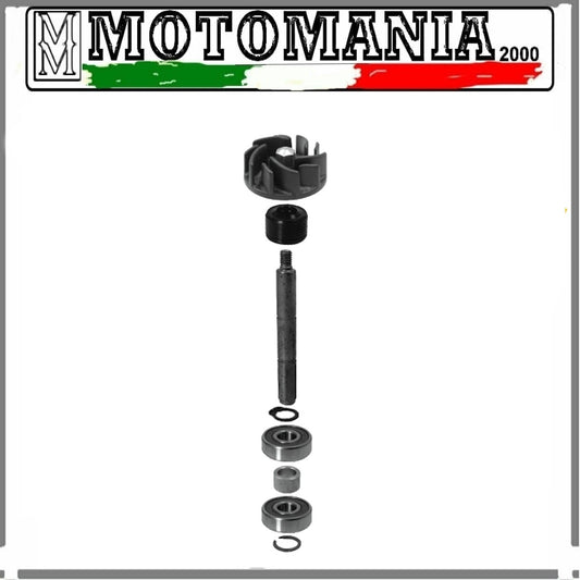 KIT REVISIONE POMPA ACQUA PIAGGIO HEXAGON 125-150CC 1994/1997