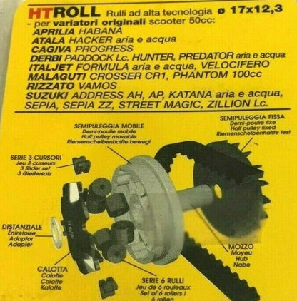 669999F0 KIT 6 ROLL VARIATOR 17X12.3 GR,6.5 MALOSSI