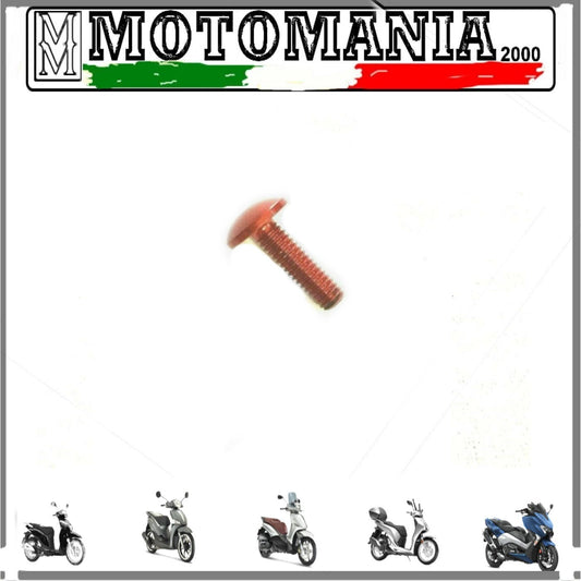 VITE TESTA BOMBATA 5X15 PER CARENE ROSSO IN ERGAL *