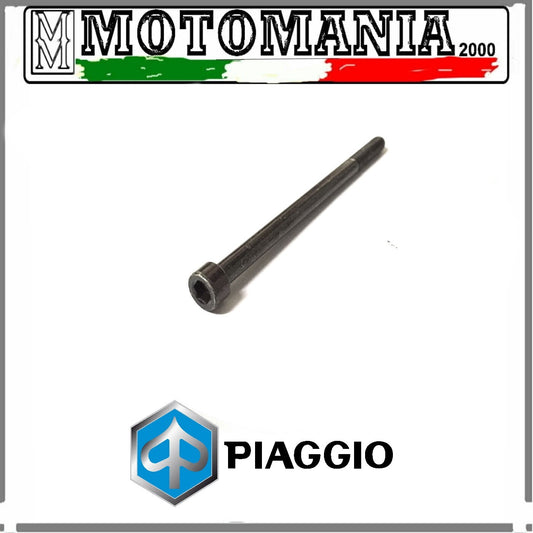 VITE BRUGOLA 6x100 SCATOLA FILTRO ARIA ORIGINALE PIAGGIO LIBERTY 125cc 98-2000 *