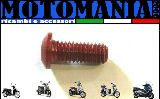 VITE TESTA BOMBATA CAVA ESAGONALE PER MOTO ROSSO ERGAL *