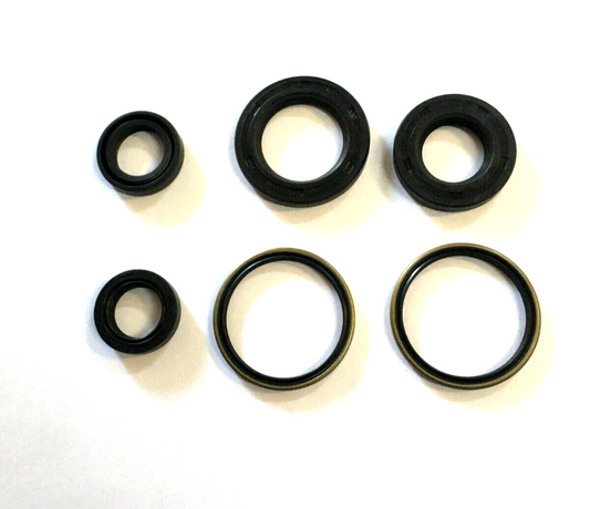 100640050 SERIE PARAOLI MOTORE COMPLETI PIAGGIO LIBERTY FREE SFERA ZIP 92-17  *